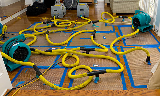 Professional Burst Pipe Water Damage technician working in Rosemount, OH